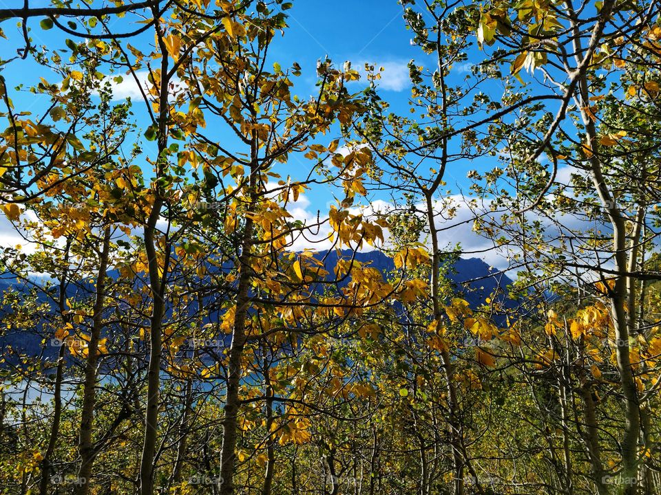 Hiking in the Yukon in the Fall