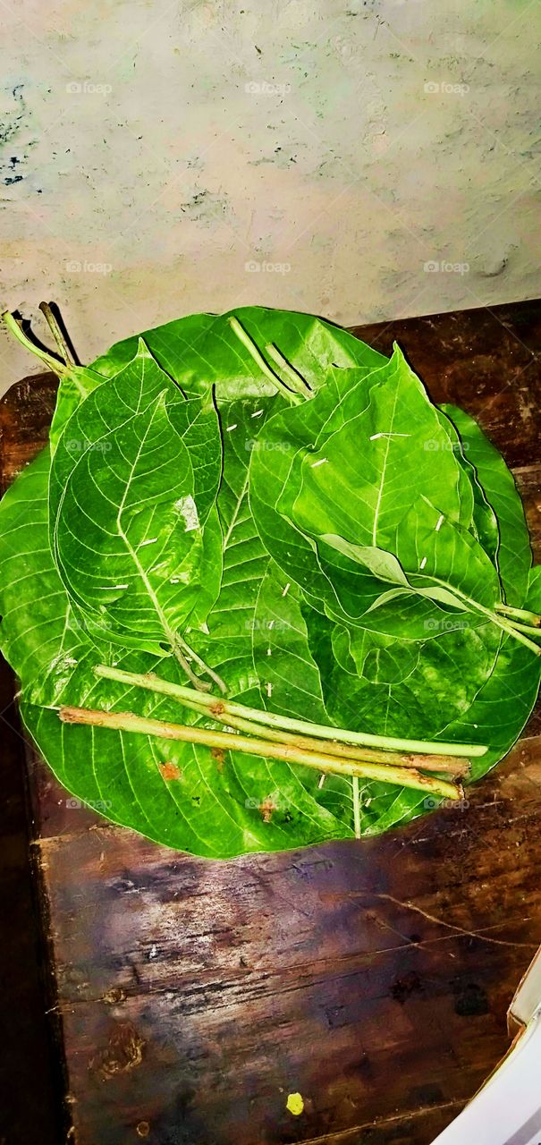 beautiful green leaf plate and green leaf bowl