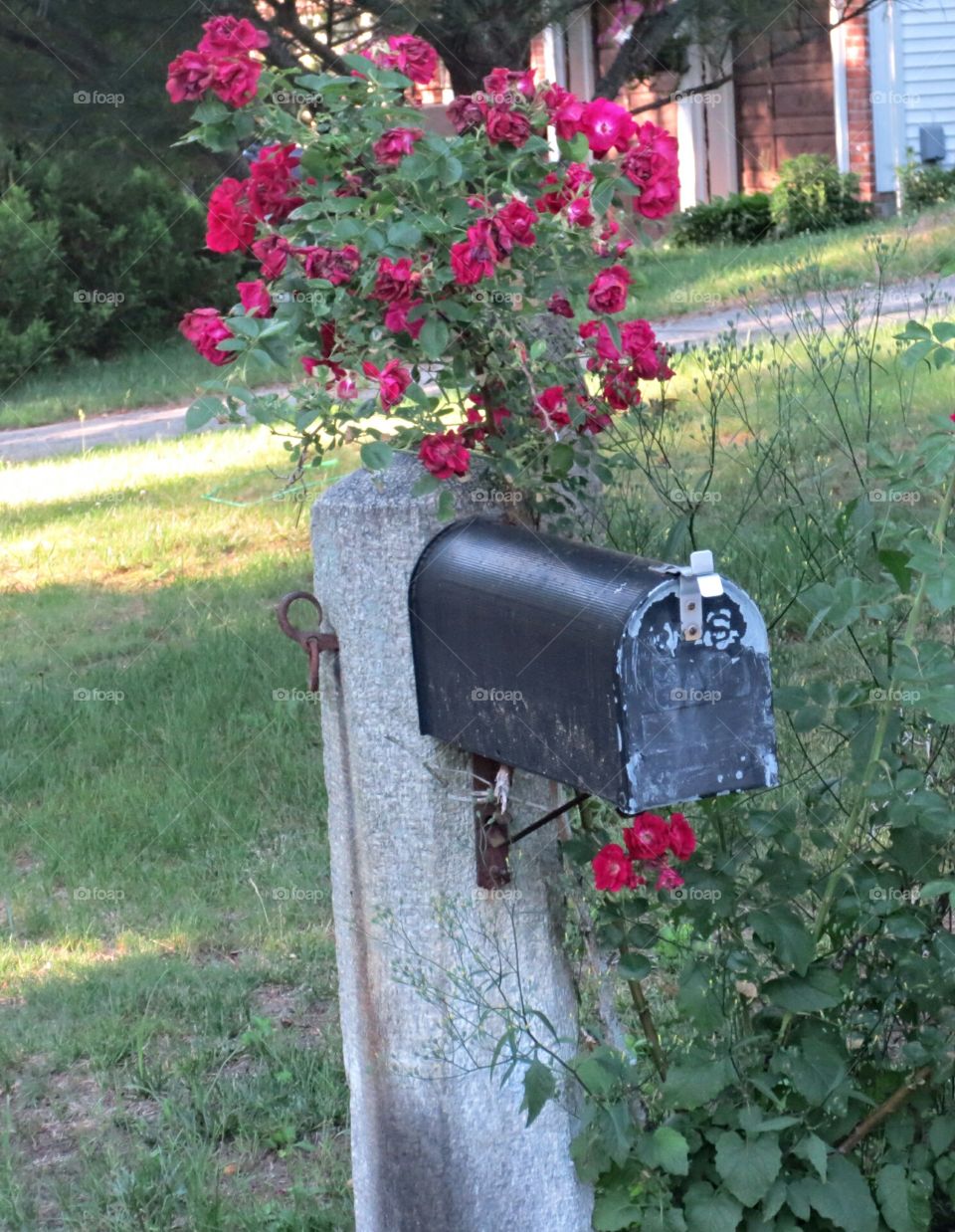 flowers on mailbox