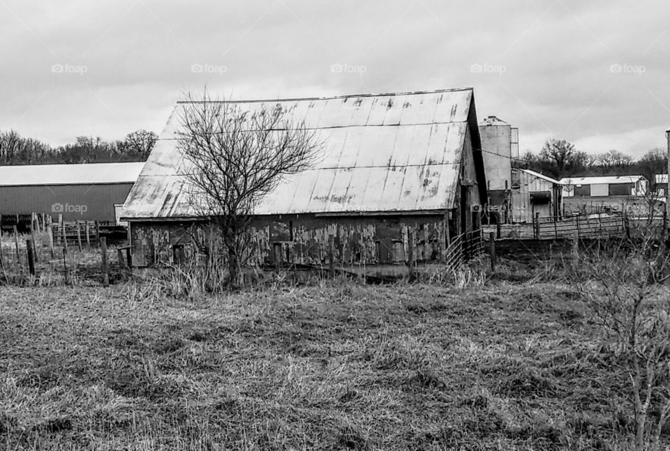 Old Barn