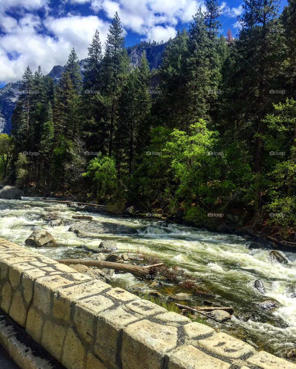 Water through Nature 