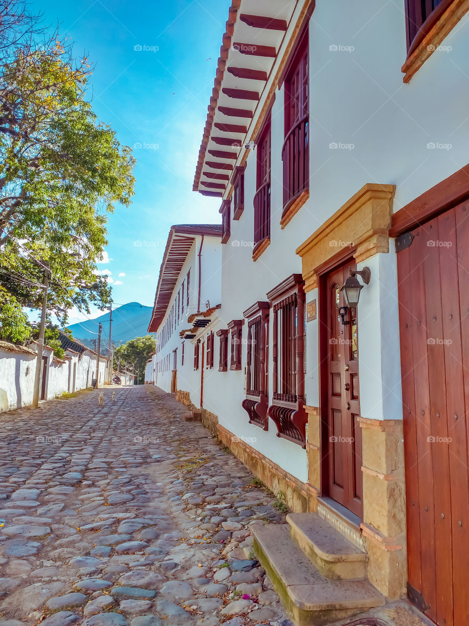 Calle empedrada de Villa de Leyva, Boyacá Colombia en un día soleado y de cielo azul. Cobbled street in Villa de Leyva, Boyacá Colombia on a sunny day with blue sky.