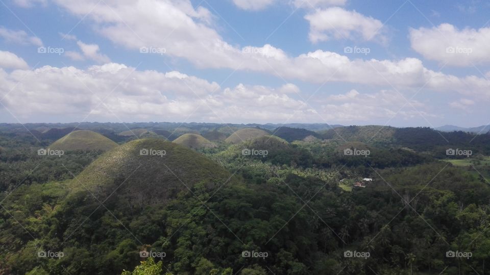 chocolate hills