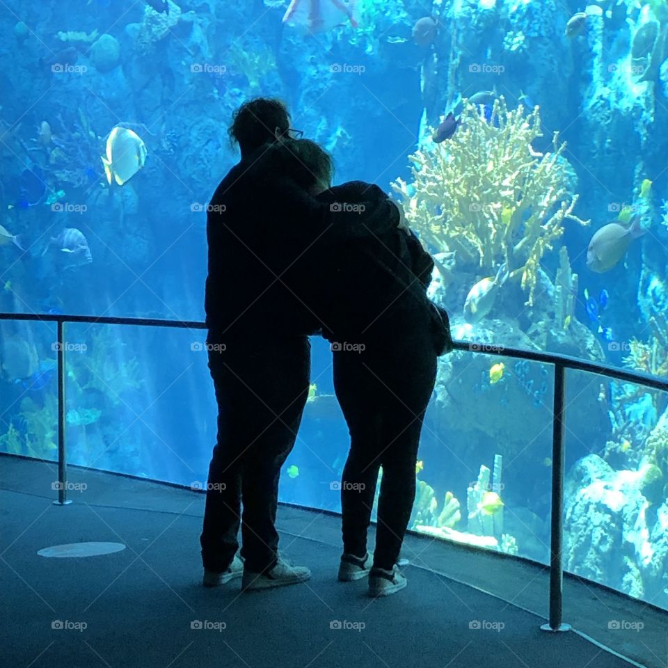 Shadow of couple in aquarium 