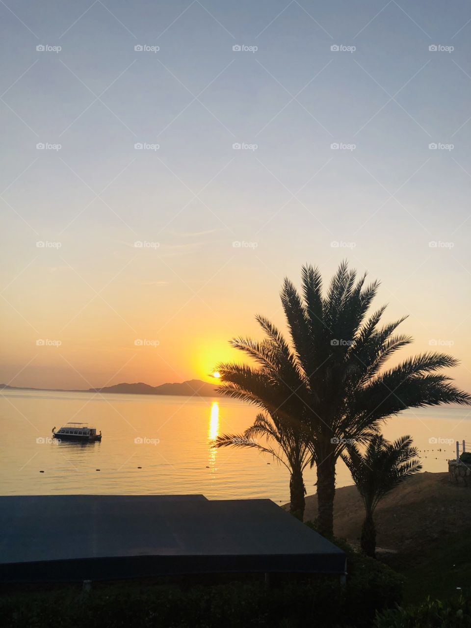 editors Choice Photo of the week