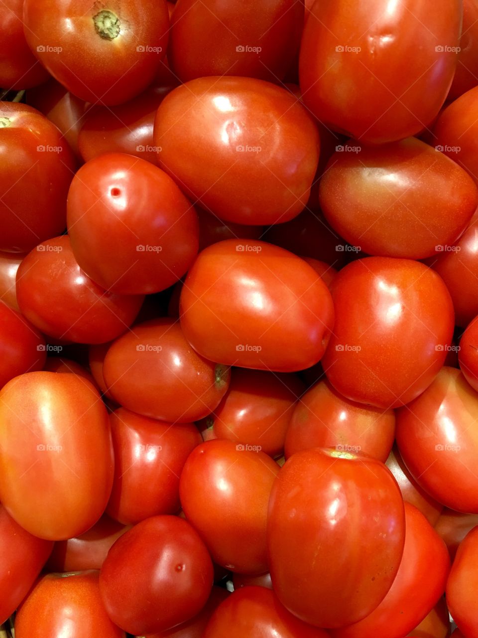 Red Tomatoes