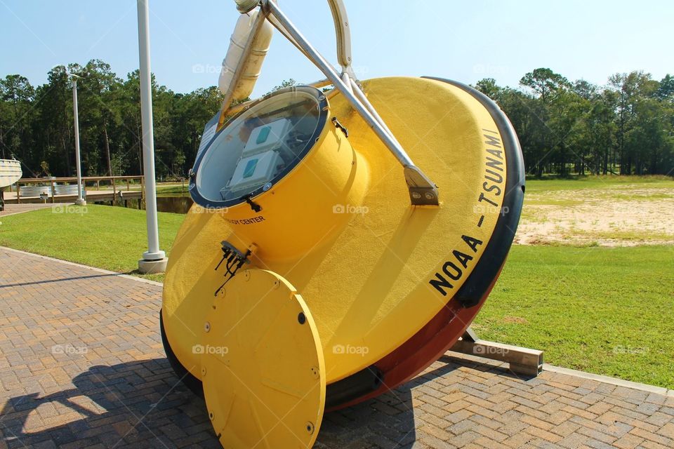 Tsunami Warning Buoy