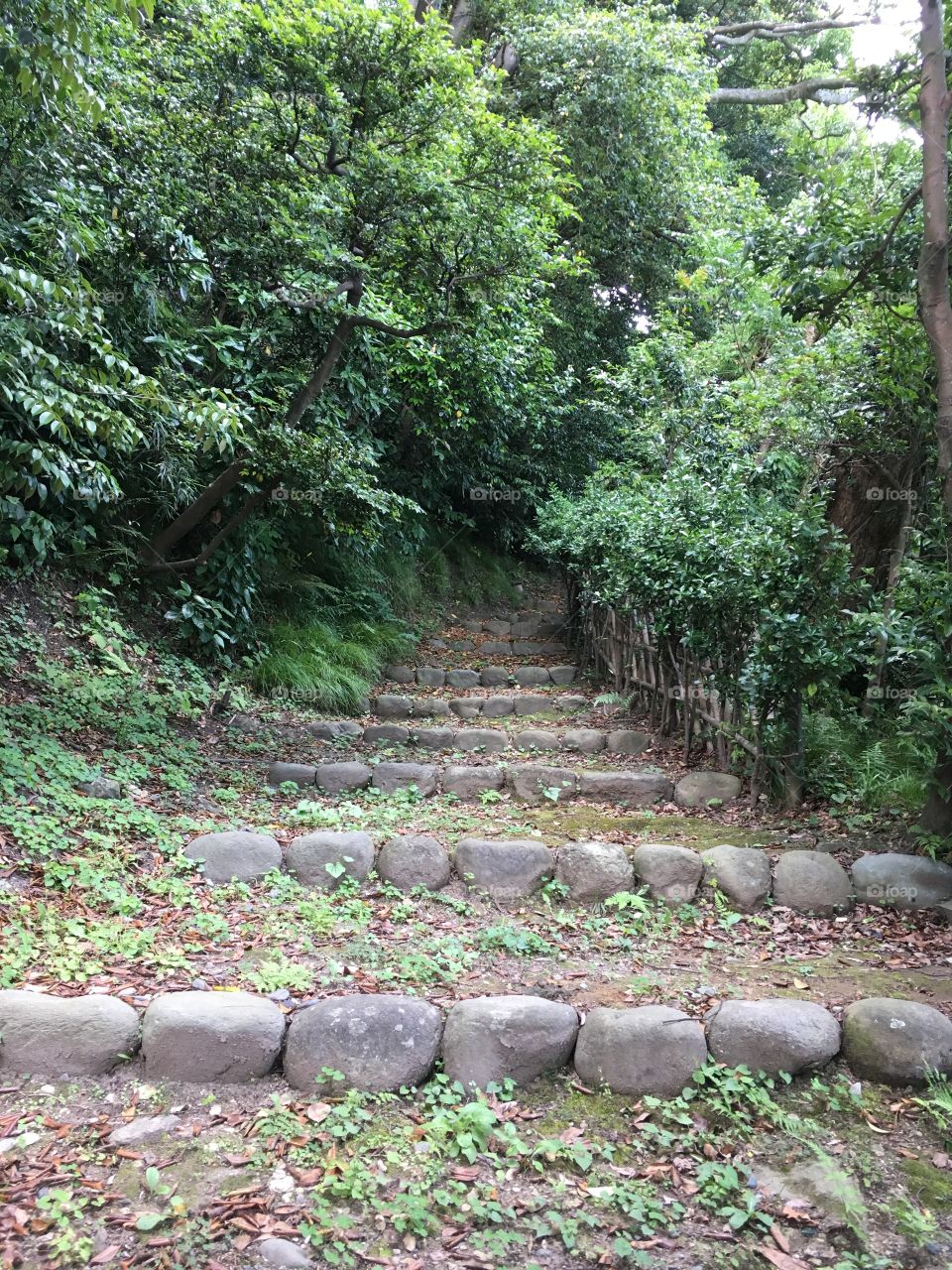 Steps at Kamakura Yukinoshita, Japan