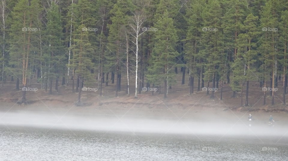 fog over the pond after the May thunderstorm