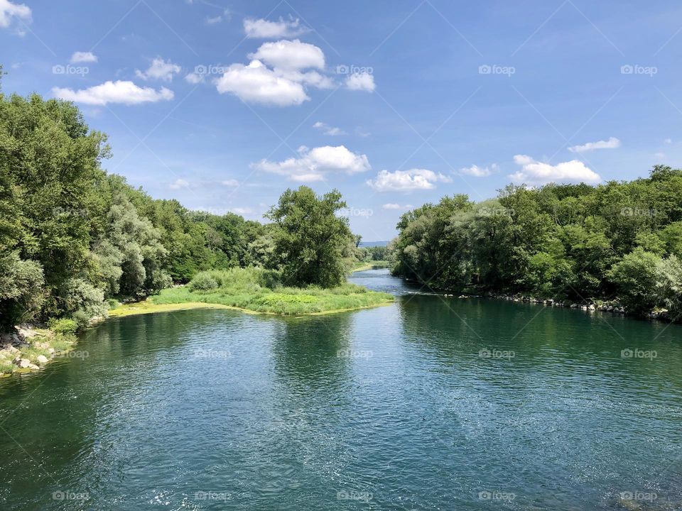 Meadow landscape in summer