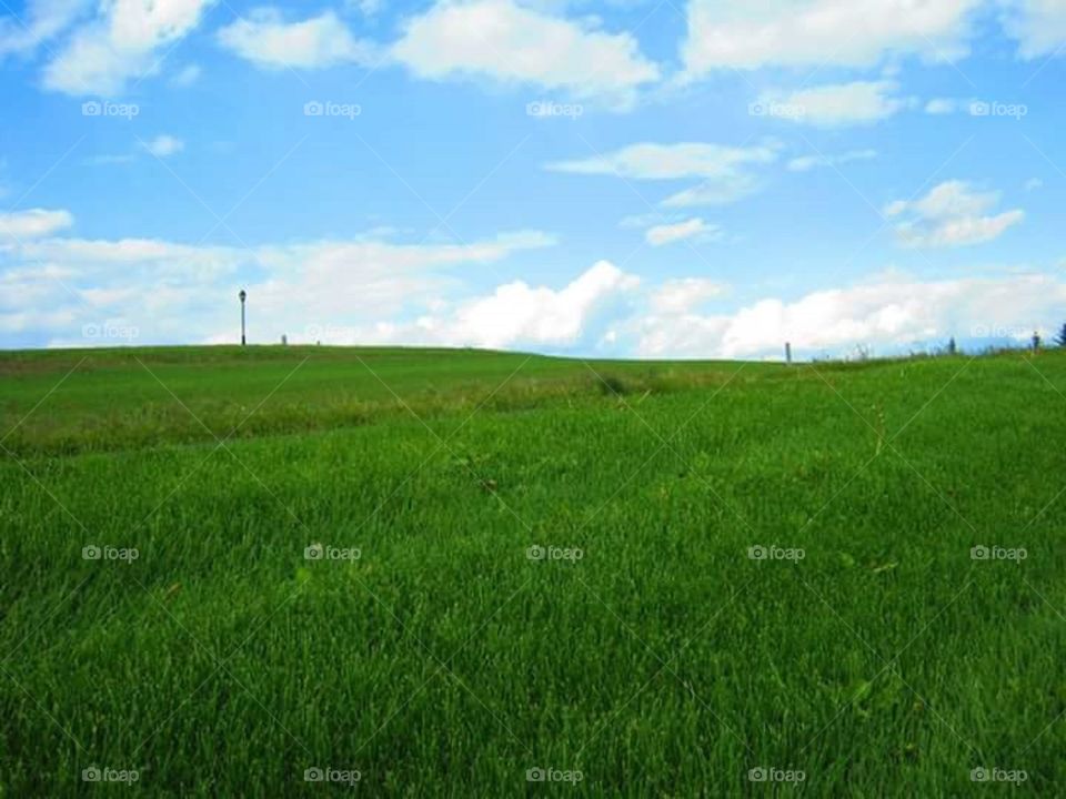 farm land