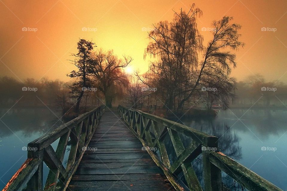 Wooden bridge 
