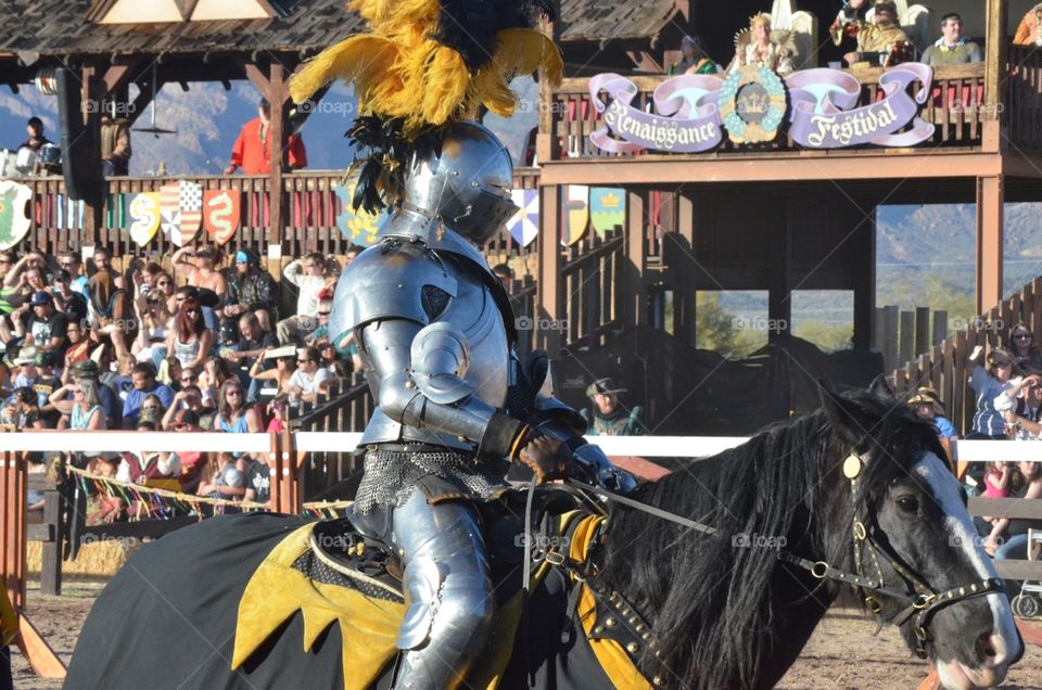 Jousting knight 