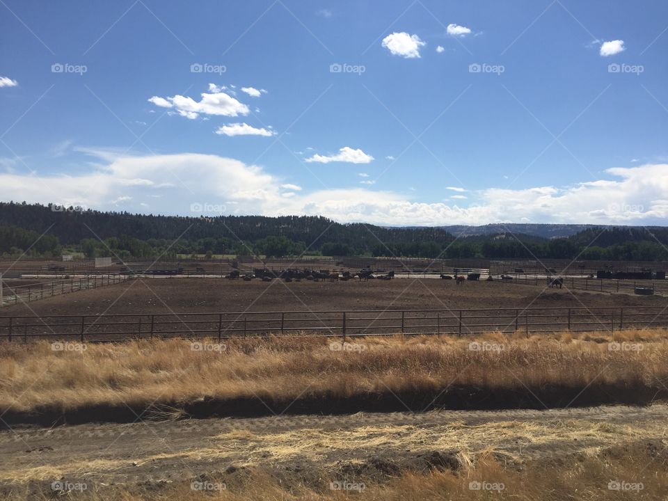 Landscape, No Person, Agriculture, Sky, Outdoors