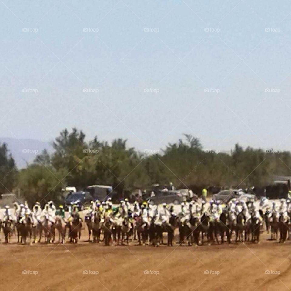 Crowd of people doing race with horses.