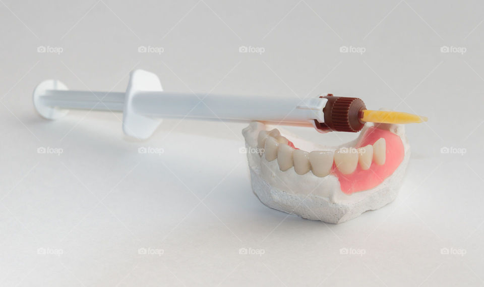 Dental model