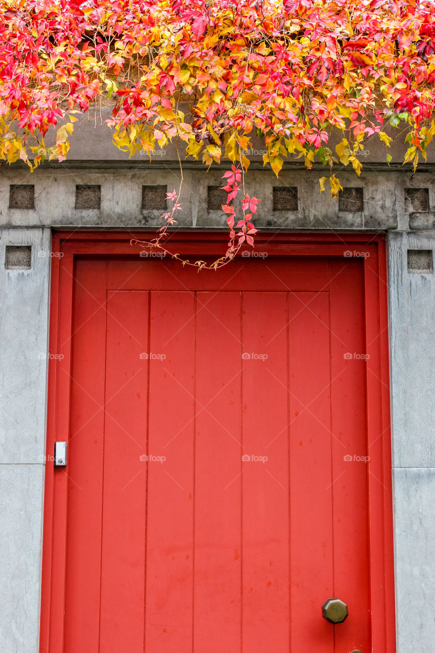 Red autumn door