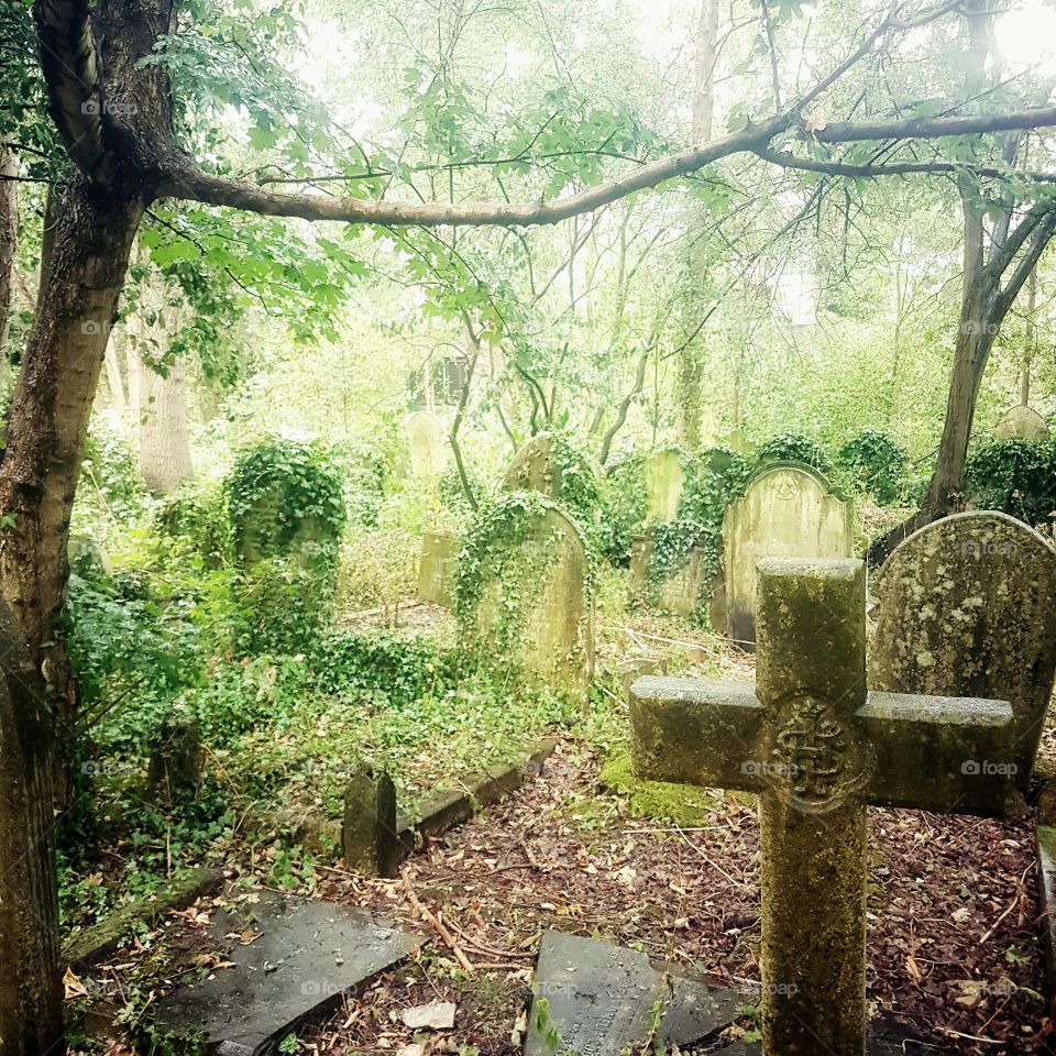 Highgate Cemetery. London, UK...