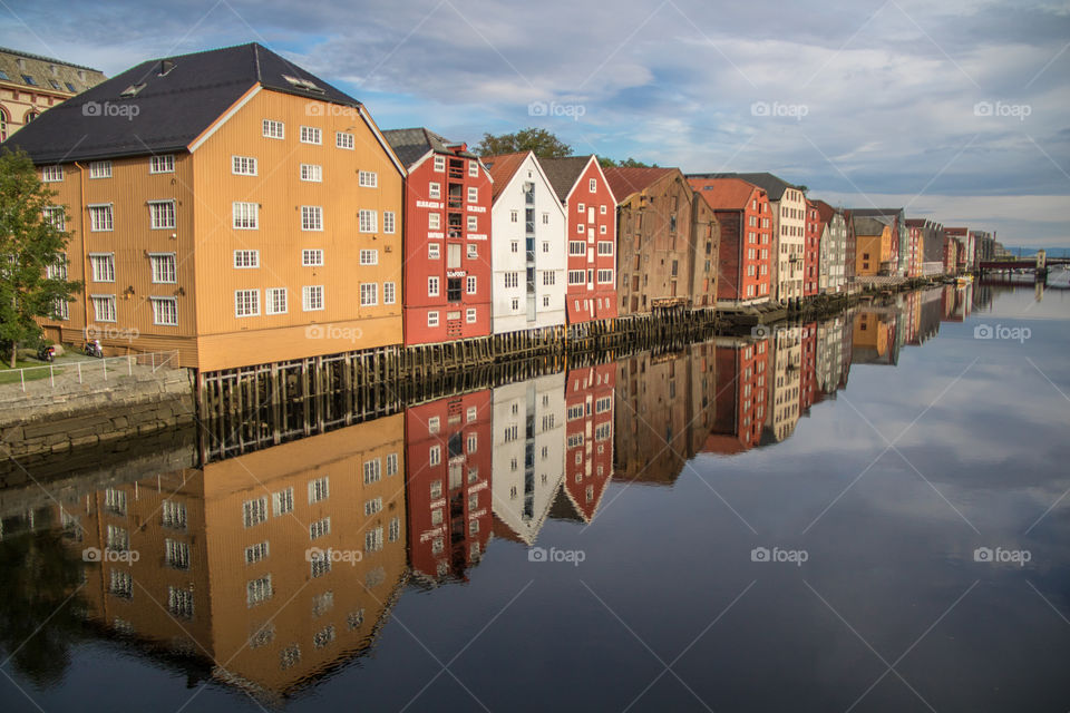 River reflections 