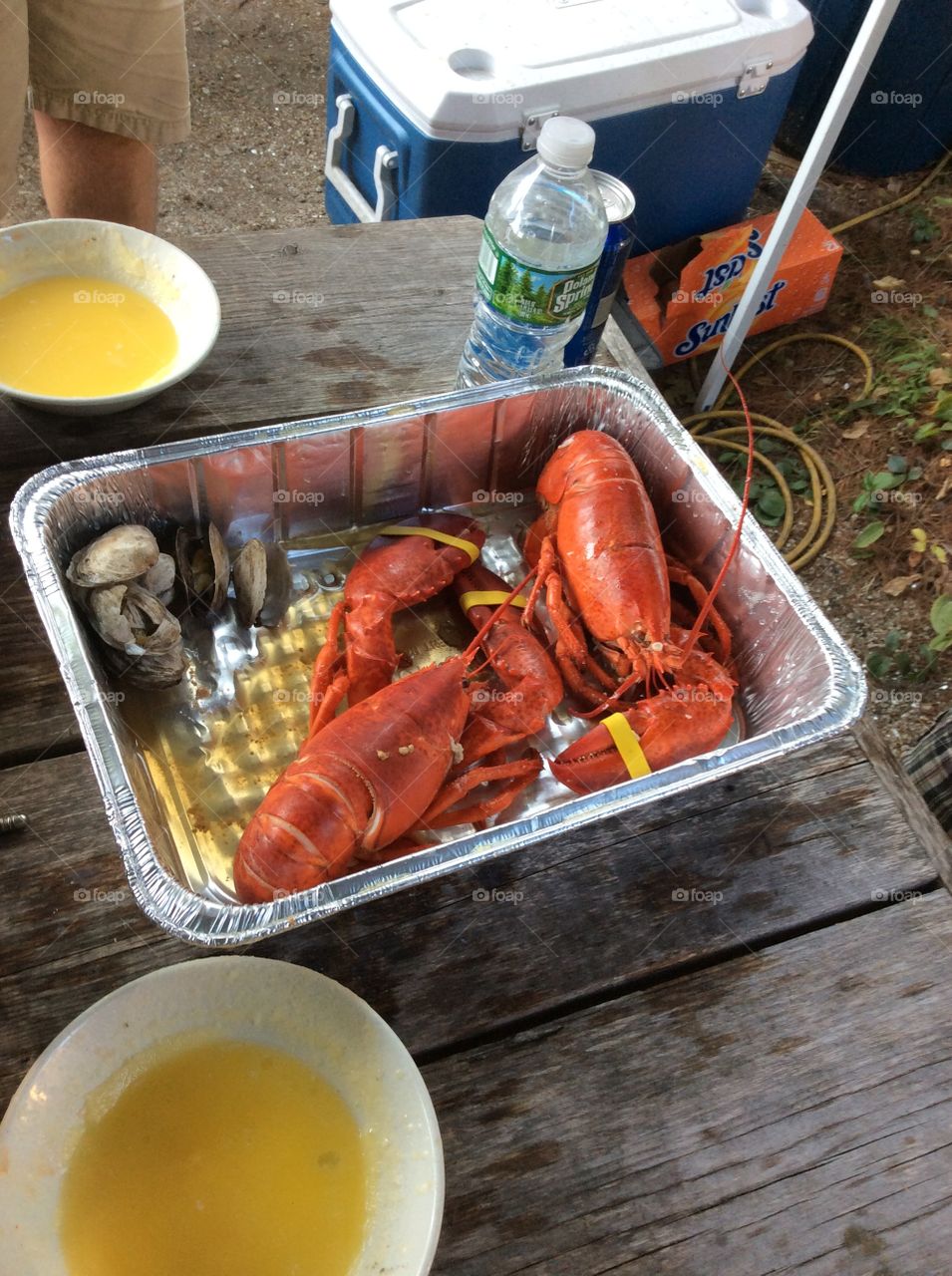 Maine Meal