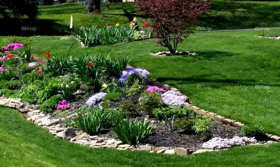 Rock Garden of Perennials