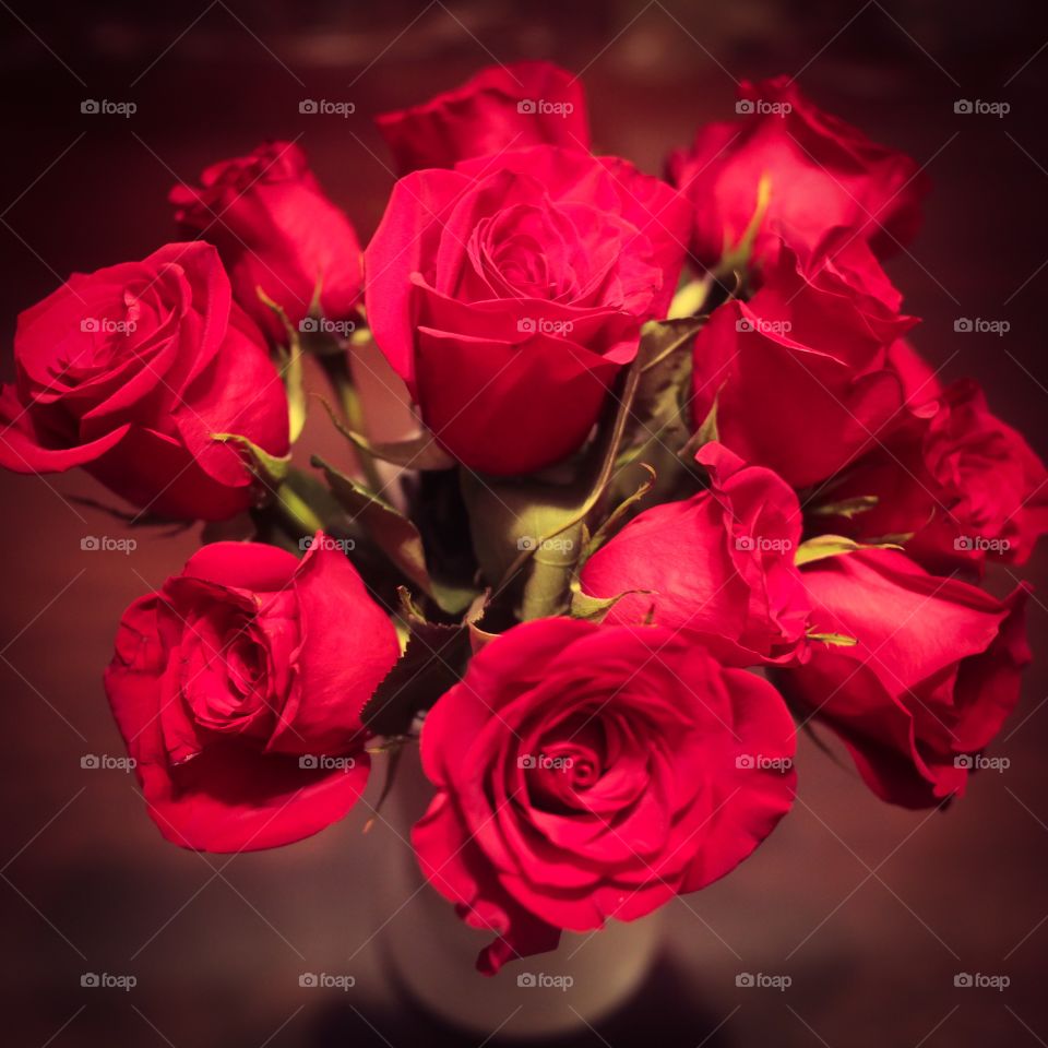 Dozen Roses