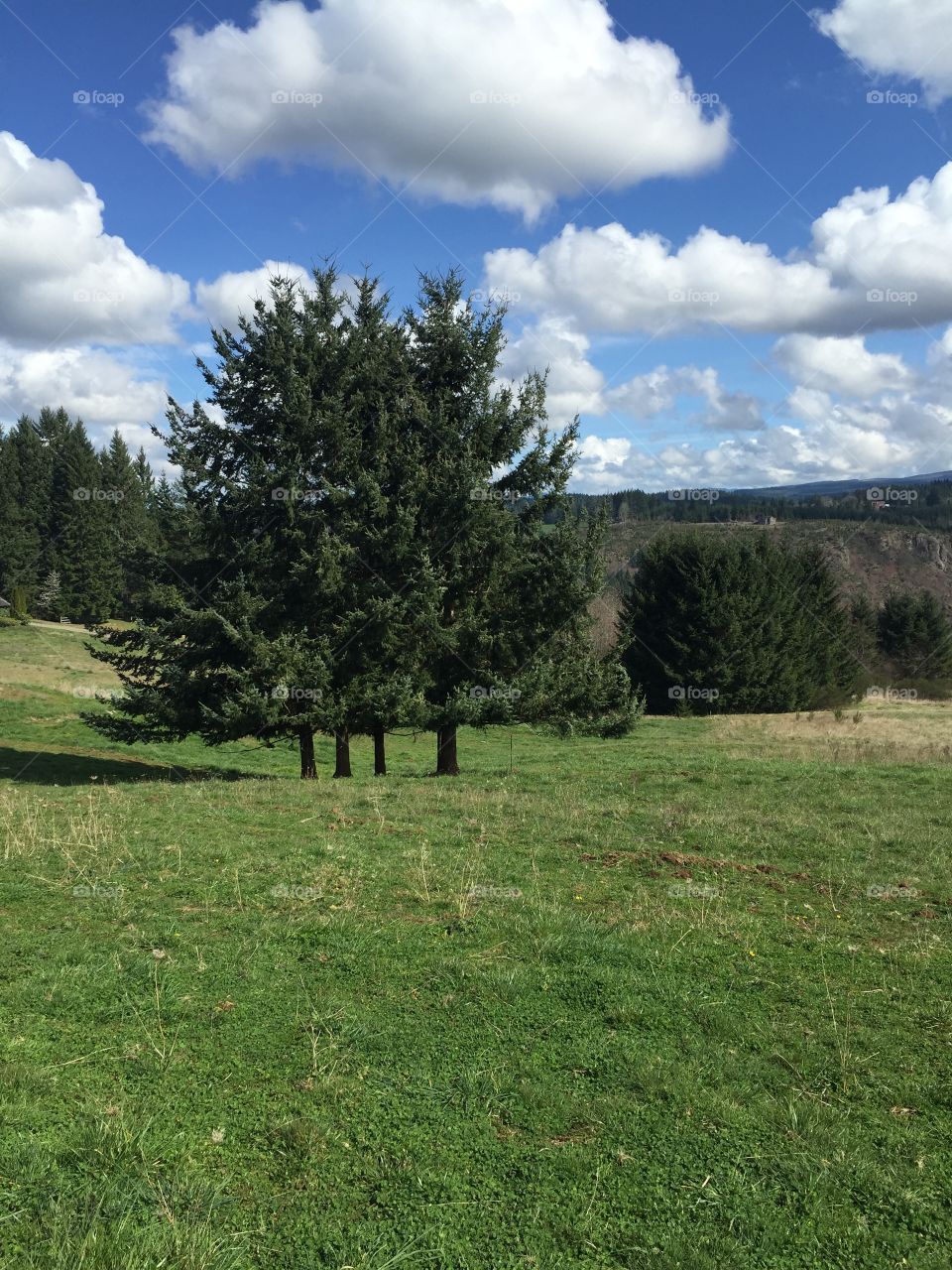 Beautiful view. Lunch break adventure 