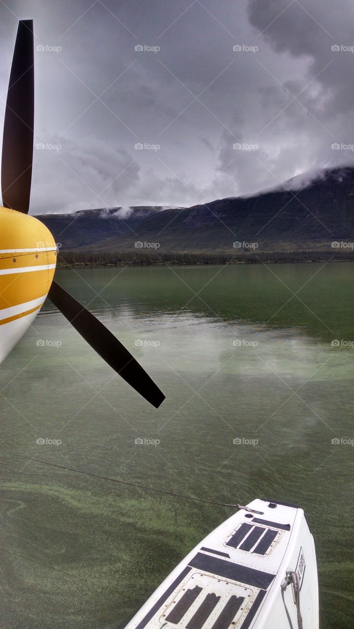 Watching the Algae bloom on the lake