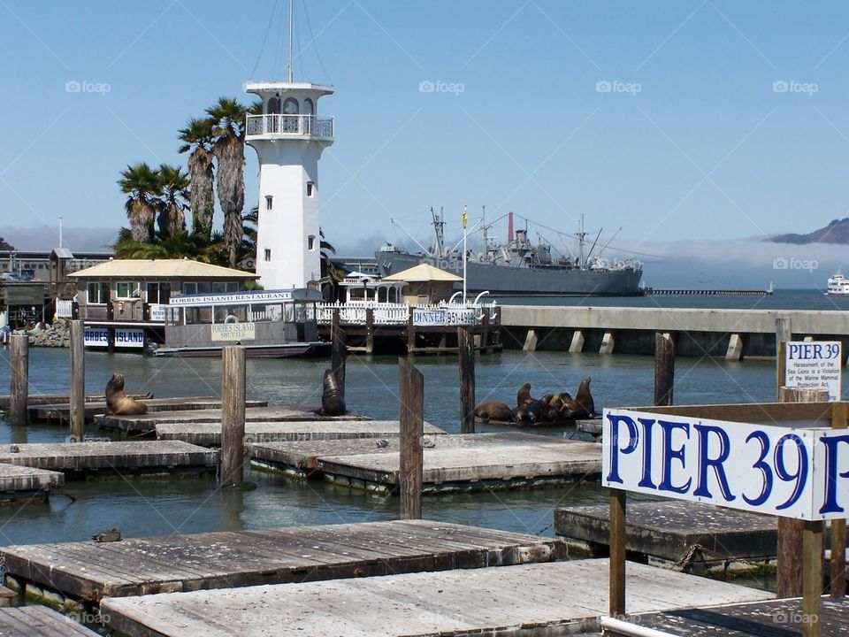Pier 39 on fisherman‘s wharf in San Francisco California, Pacific ocean, travel