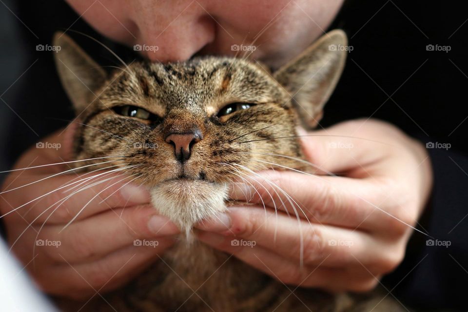 A woman holds her cat's head between her hands and kisses the cat