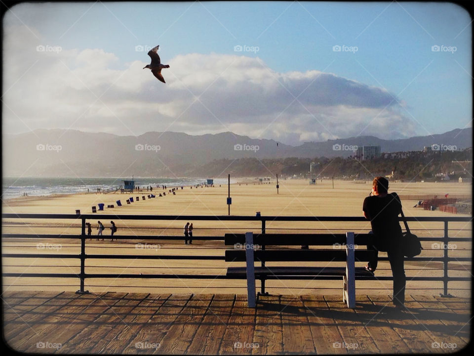 The Beach. L.A golden hour, march 2014.