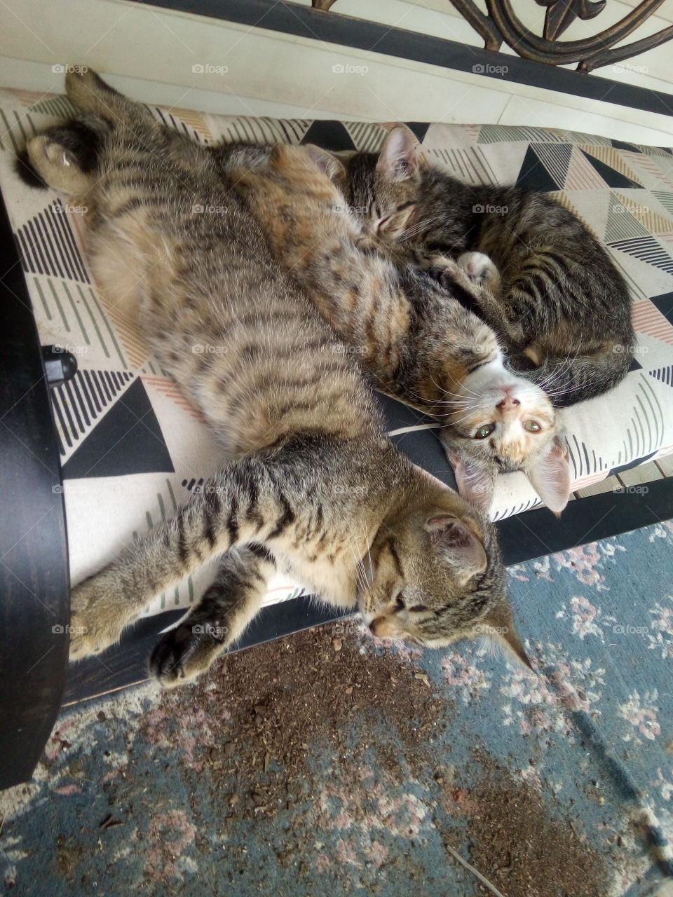 the family is spending a lazy day on the porch swing, this is how we spend our Sundays.