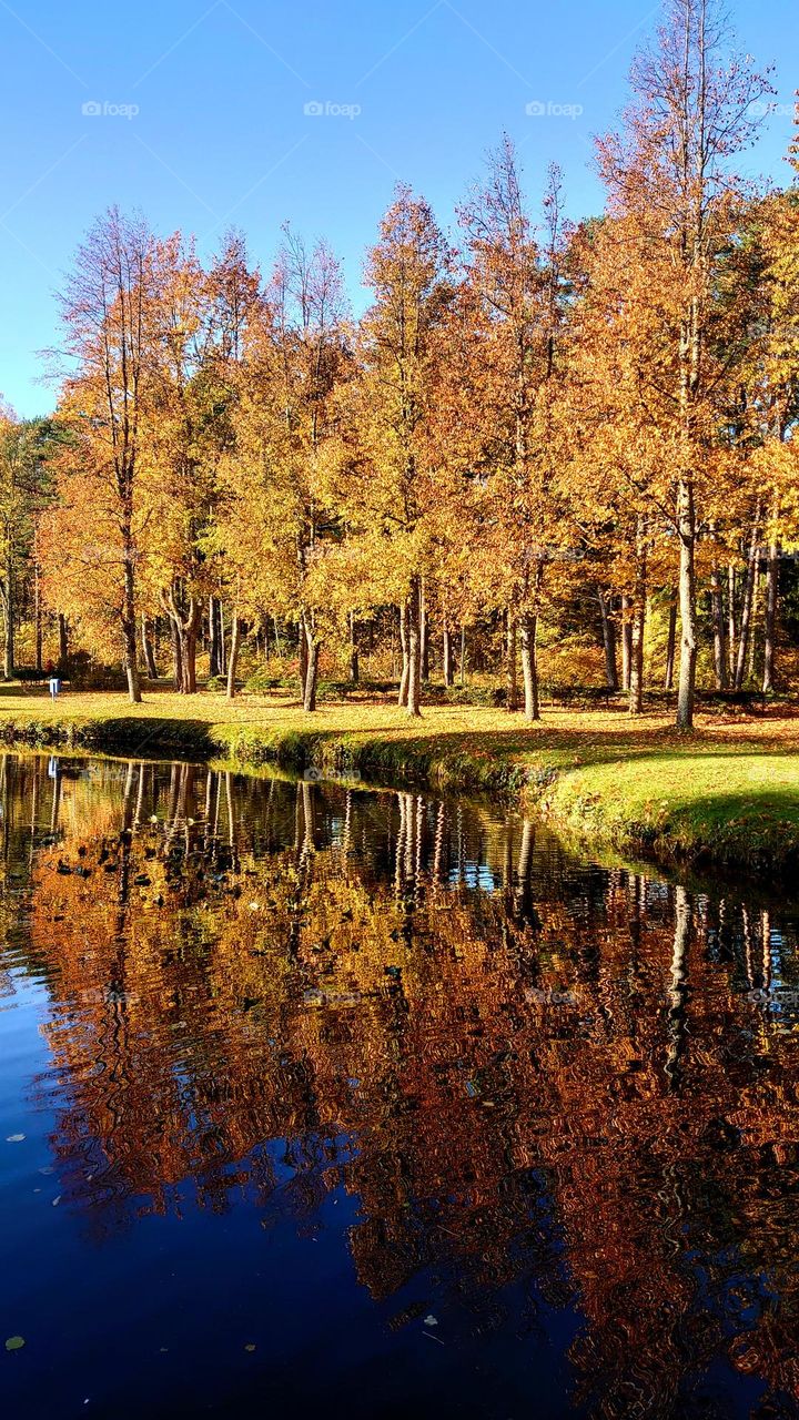 Autumn season 🍂🍁 The Park 🍂🍁 Reflection 🍂🍁