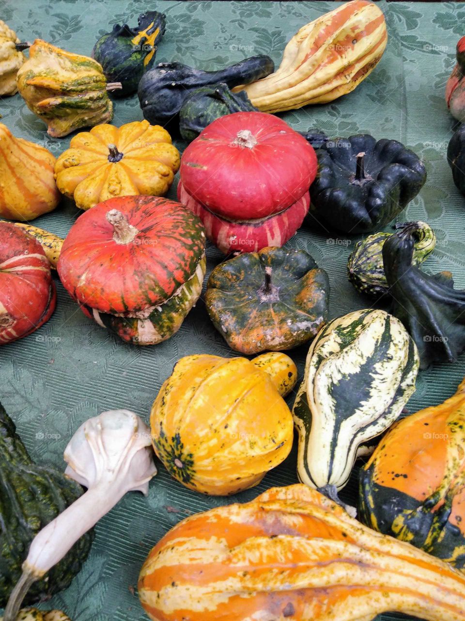 A group of colorful pumpkins in a fair market stall