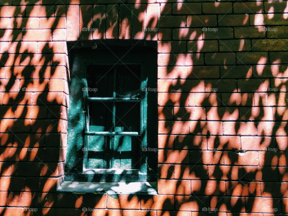 Shadowplay on wooden house wall