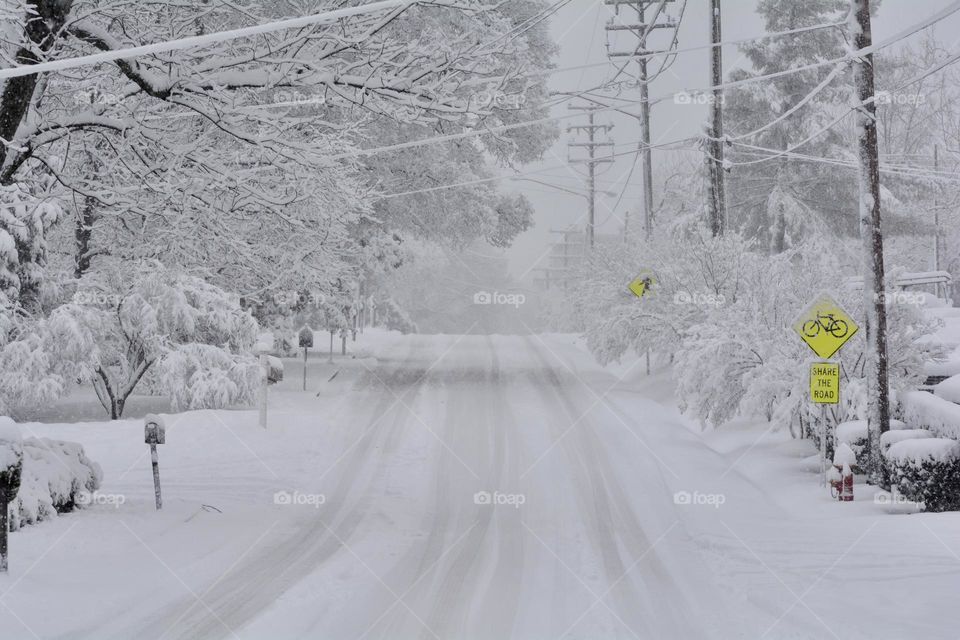 Snow covered street. Winter wonderland! 