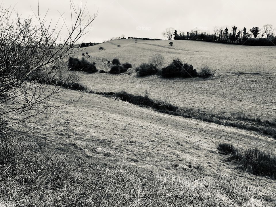 Again l am trying to ignore the lack of any decent weather, by focusing this picture in black and white mode.