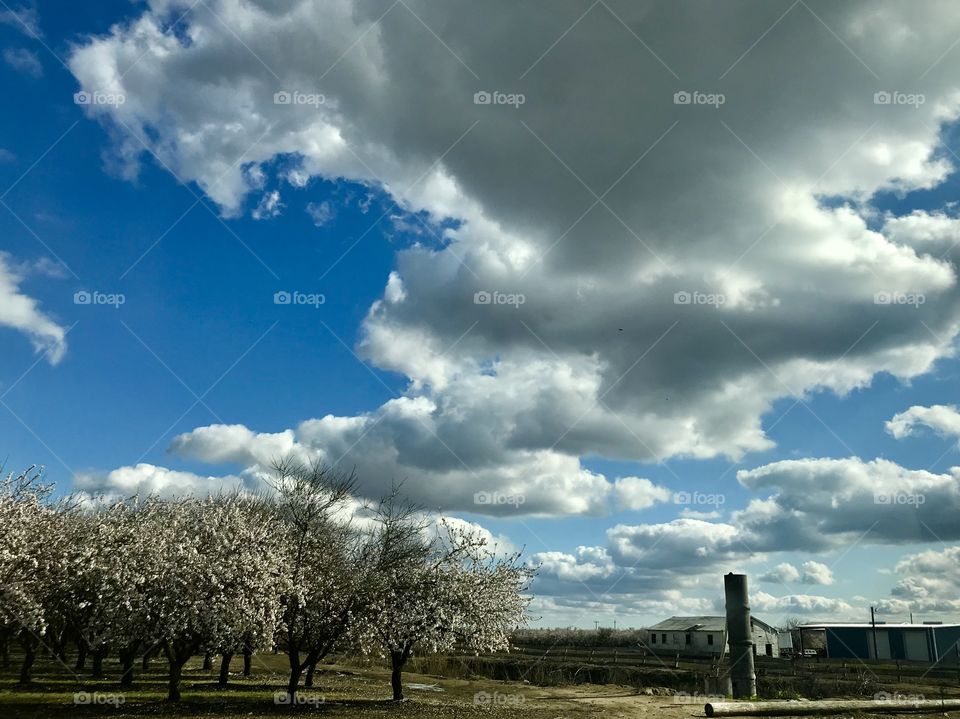 Puffy clouds and springtime in central California farm country 