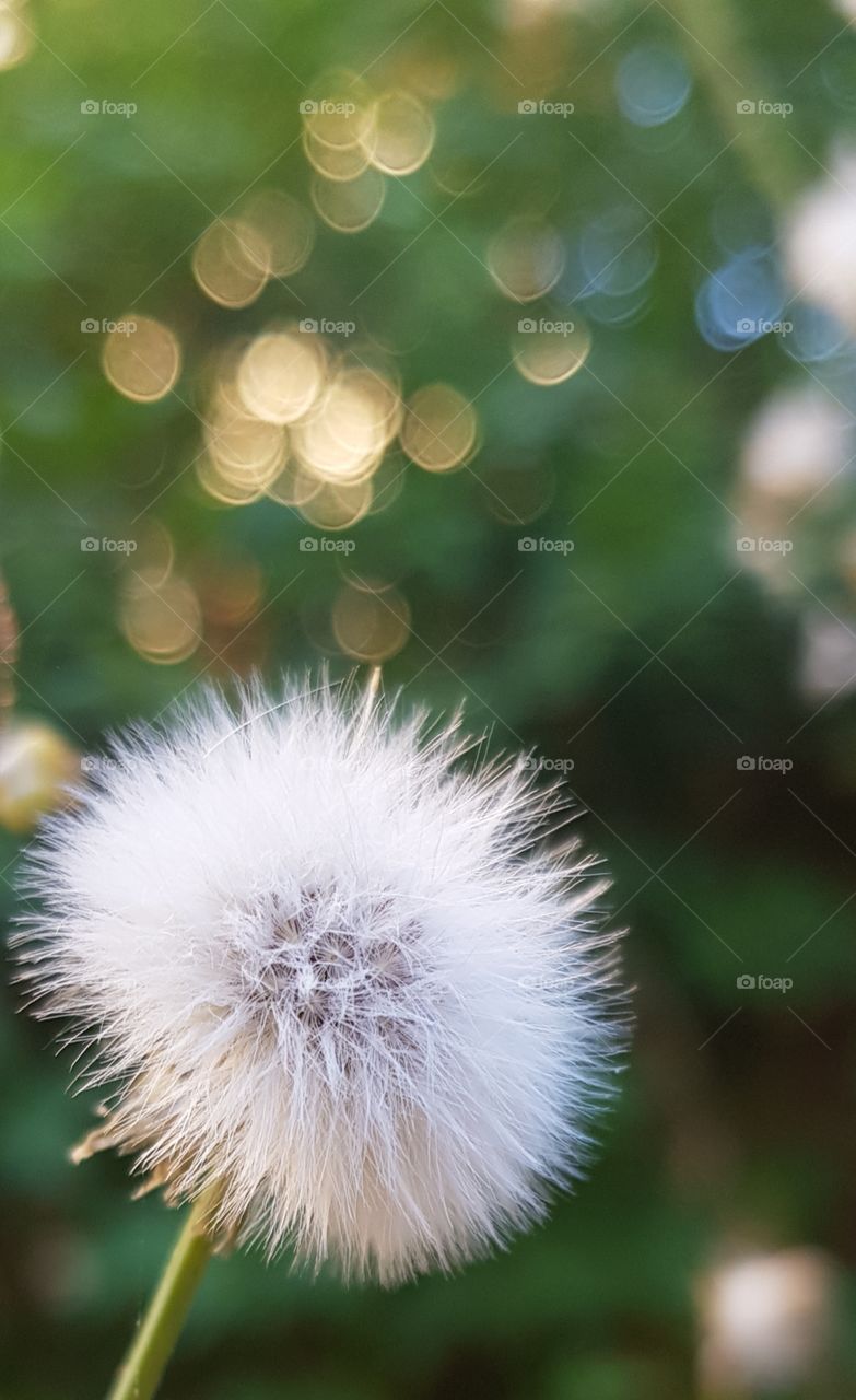 Hello
Please like my pictures and follow me
Thank you