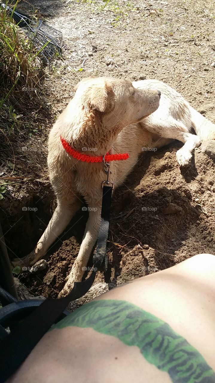 Nothing better than digg