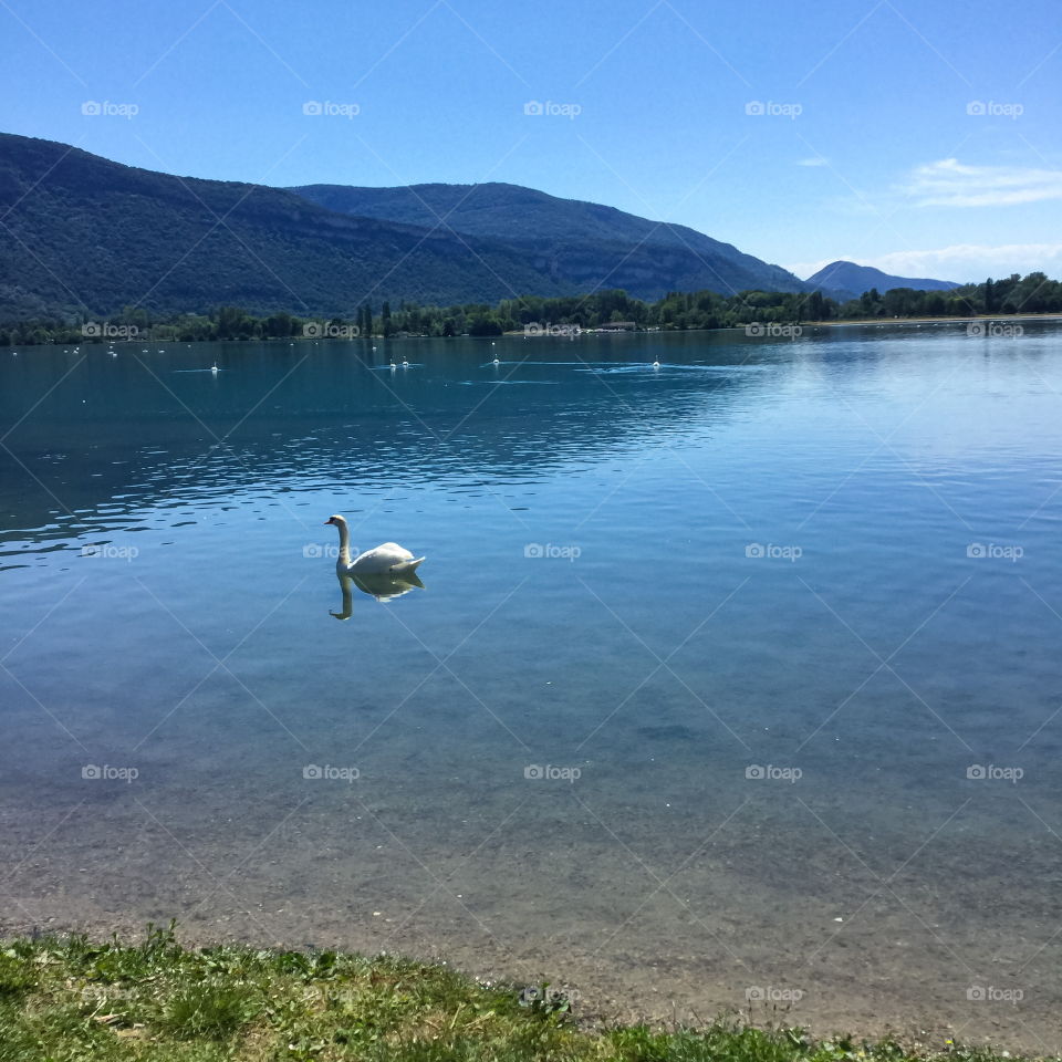 Lake, Montalieu, Vallee Bleue 