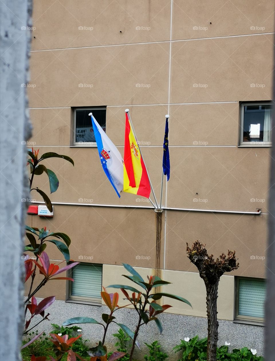 Banderas de mi  localidad. Galicia, España, Europa