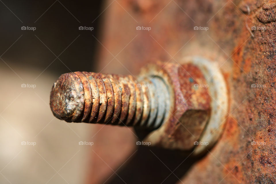 Close up of a rusty screw