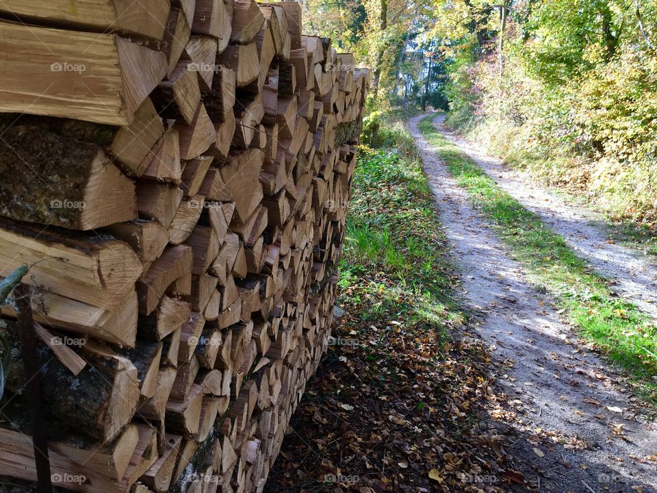 Wood for fire