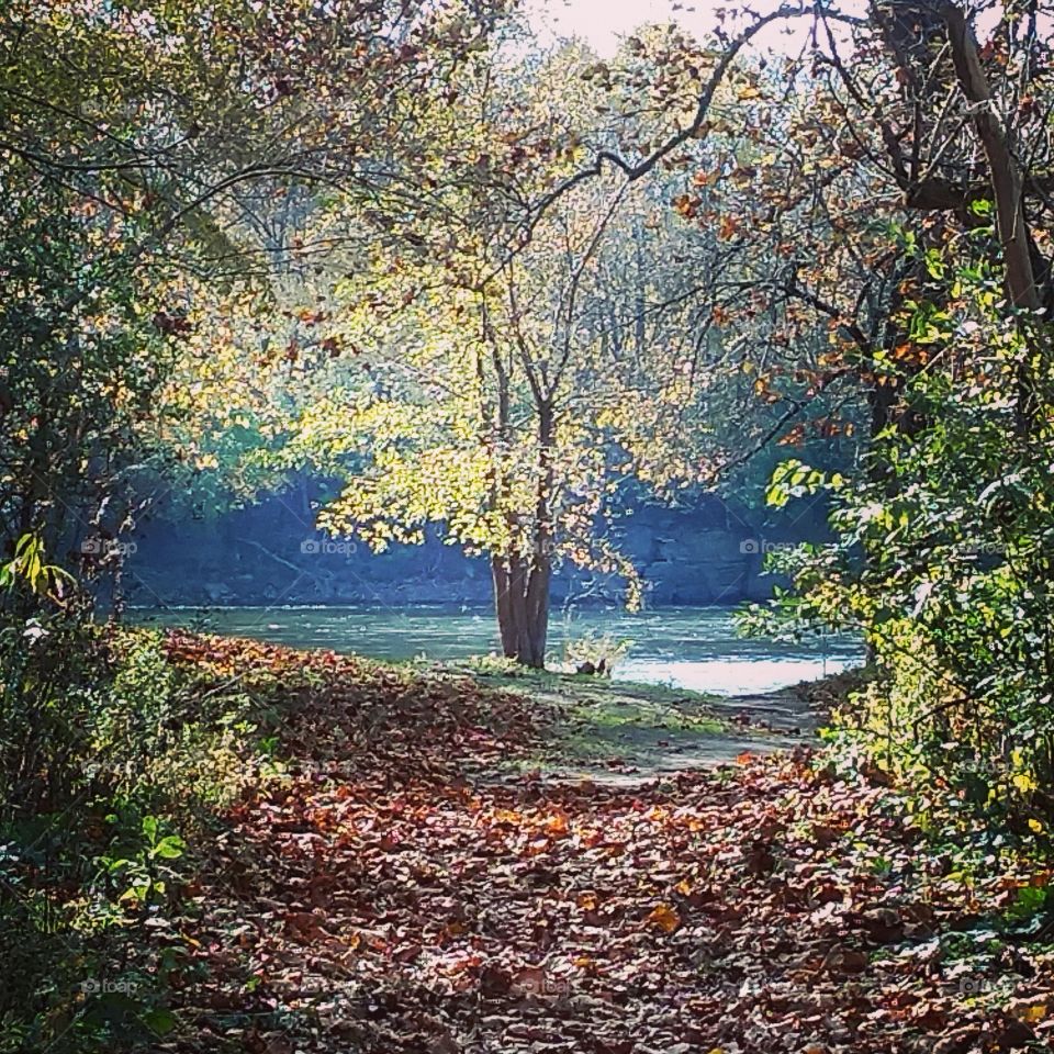 autumn river path