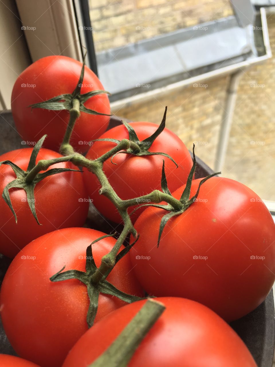 Tomatoes 