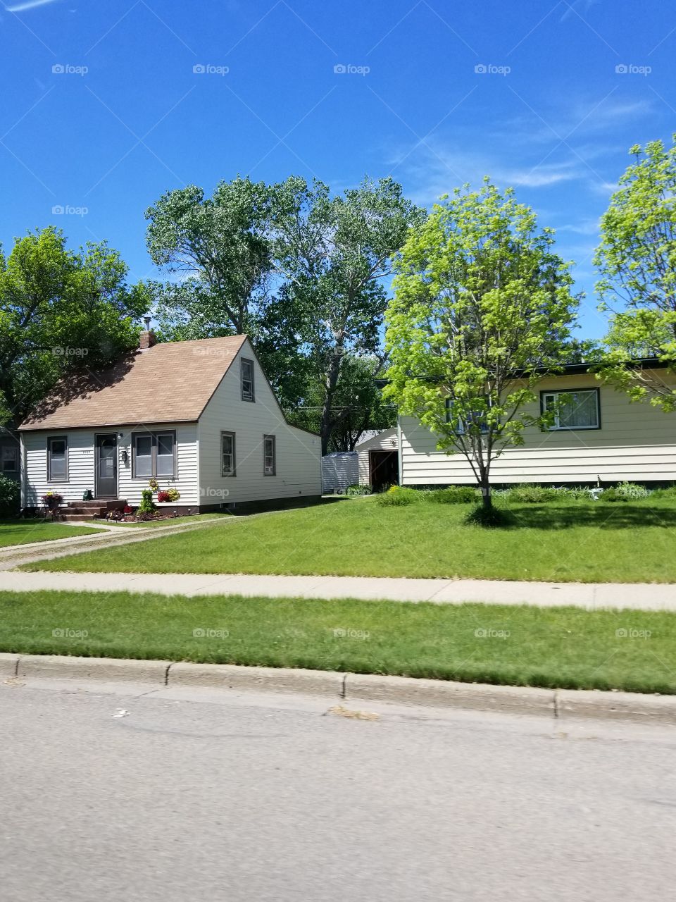 House, Home, Lawn, Tree, Building