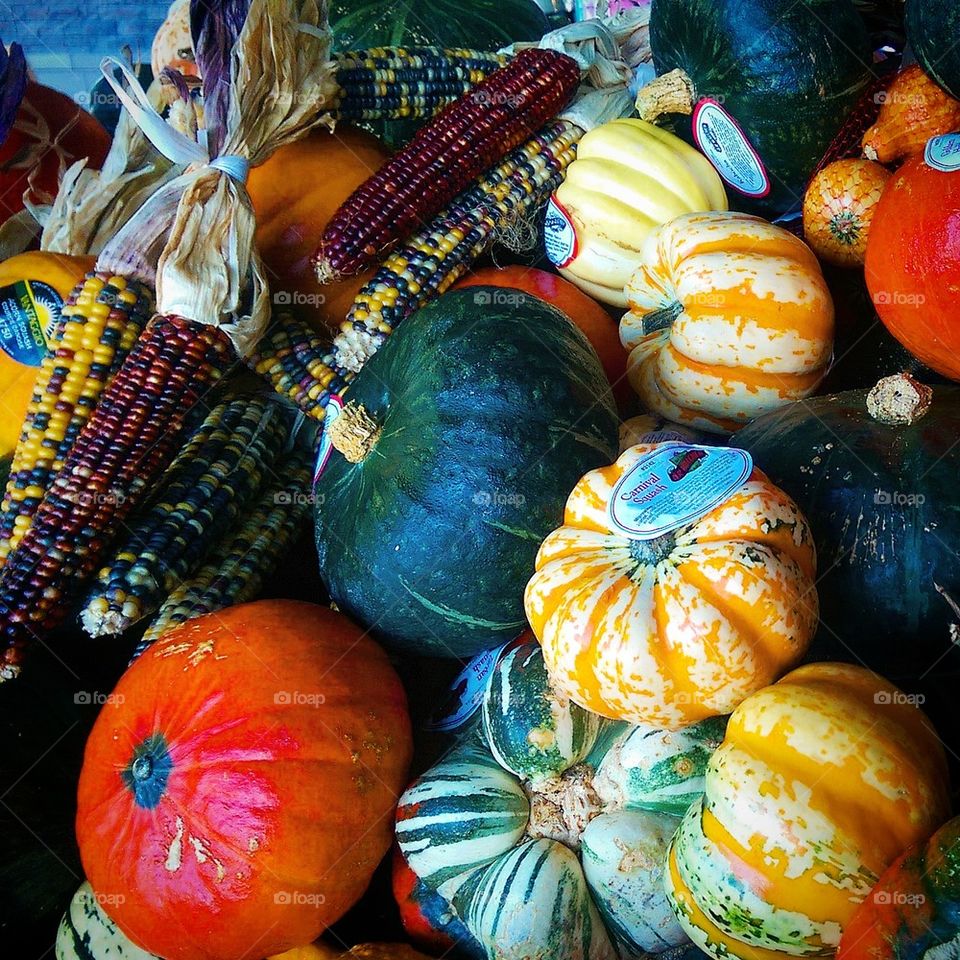 Harvest Time 