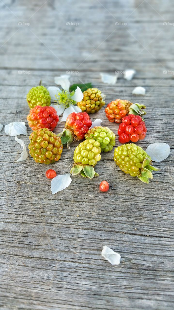 fresh picked wild berries on old gray wood