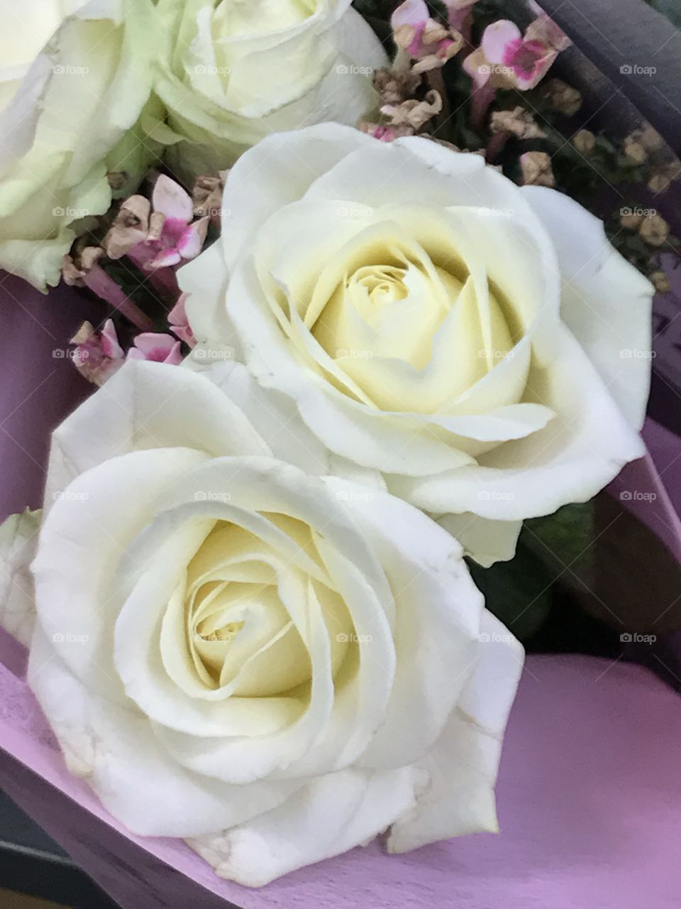 Rose-love-flowers-wedding-bride 